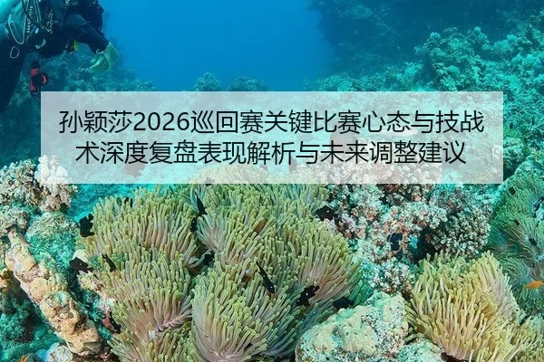孙颖莎2026巡回赛关键比赛心态与技战术深度复盘表现解析与未来调整建议